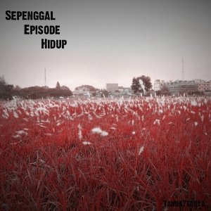 Sepenggal Episode Hidup