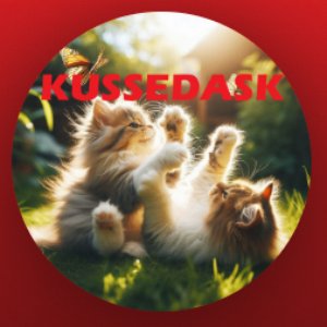 “Kussedask”的封面