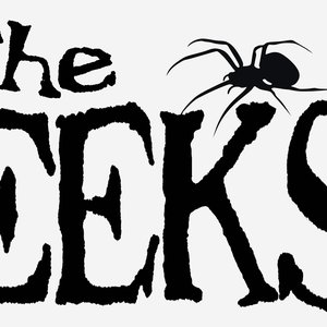 Image for 'The EEKS - EP / 2010'