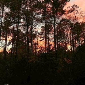 sweaters - Single