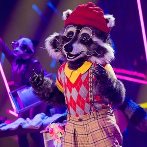 The Masked Singer: Der Waschbär のアバター