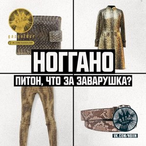 Image for 'Питон, что за заварушка?'