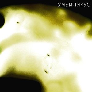 Umbilicus