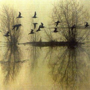 Majestic Thou in Ruin