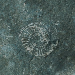 Fossils