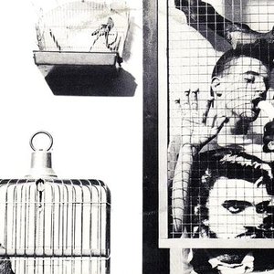 Beasts In Cages 的头像