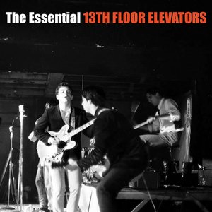 The Essential 13th Floor Elevators