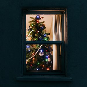 underneath the christmas lights