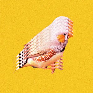 Northern Lights - Single