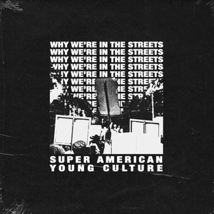 Why We're in the Streets - Single