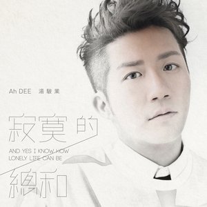 寂寞的總和