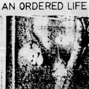 An Ordered Life 的头像