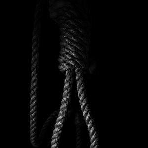 Seer of Gallows 的头像