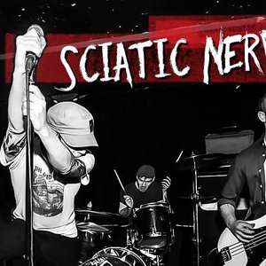 Image for 'Sciatic Nerve'