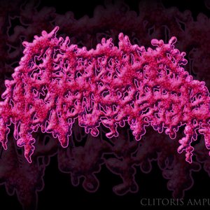 Avatar for Clitoris Amputator