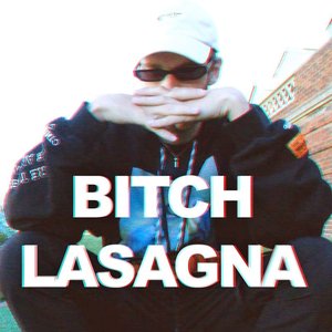 “bitch lasagna”的封面