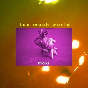 Too Much World