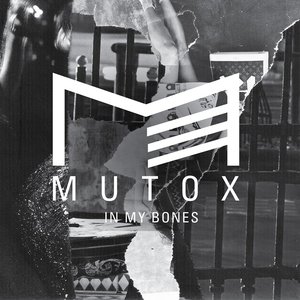 In My Bones - Single