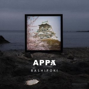 Rashipoki