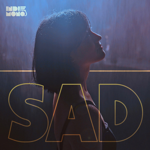 JC Stewart - I Need You To Hate Me Lyrics - Zortam Music