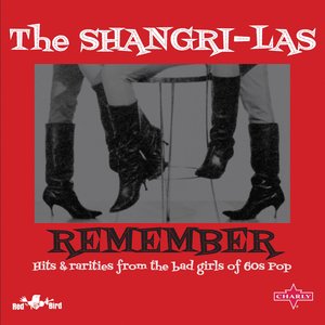 'Remember (Hits and rarities from the bad girls of 60s pop)'の画像