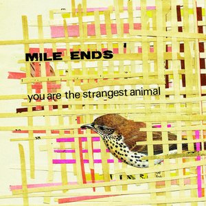 You Are the Strangest Animal