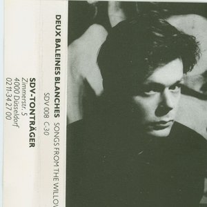 Songs From the Willow