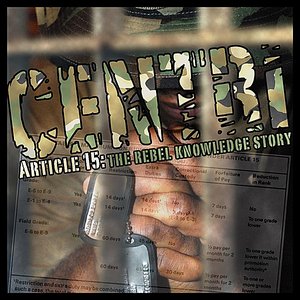 Article 15:  The Rebel Knowledge Story
