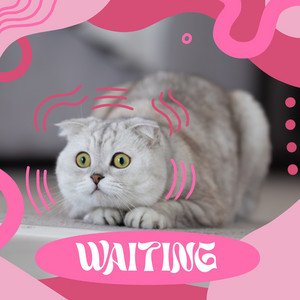 waiting