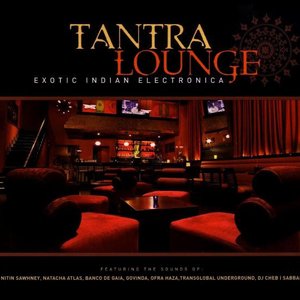 Tantra Lounge: Exotic Indian Electronica