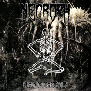Necroph 的头像