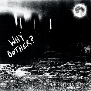 Why Bother 的头像