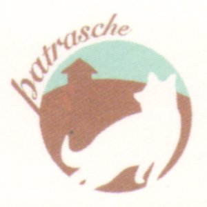 Avatar for Patrasche