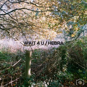 Wait 4 U / Hebra