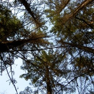 “Diippilaavu - Diipeistä Diipein EP”的封面