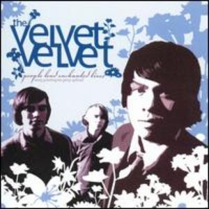 Avatar for The Velvet Velvet