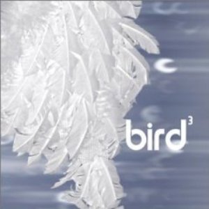 “Bird3”的封面