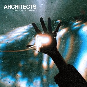 Architects, Amira Elfeky 的头像
