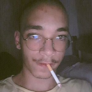Debaixo da Cama 的头像