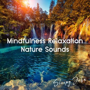 Mindfulness Relaxation Nature Sounds