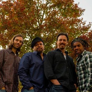 Avatar for Shakin' Woods