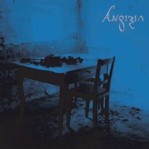 Das Tagebuch der Hanna Anikin