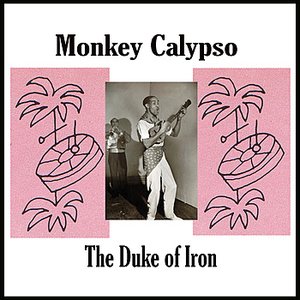 Monkey Calypso