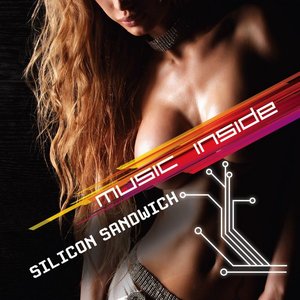 Silicon Sandwich
