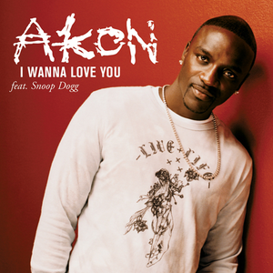 Akon - Akon - I Wanna Love You Ft. Snoop Dogg Lyrics - Zortam Music
