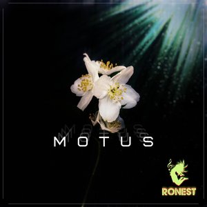 Motus - Single
