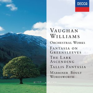 Vaughan Williams: Orchestral Works (2 CDs)