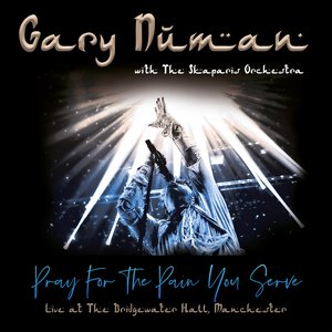 Pray for the Pain You Serve (Live at the Bridgewater Hall, Manchester) - Single