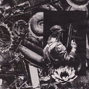 Into Subversion