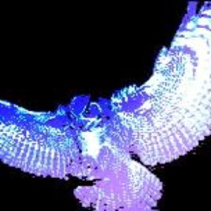 Nyteowl 的头像